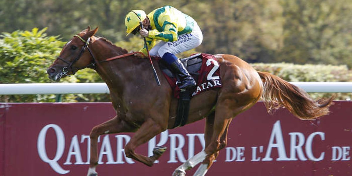 Quinté du dimanche 4 octobre 2026 à Longchamp: les pronostics