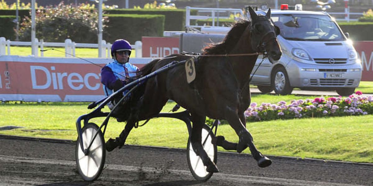 Quinté du lundi 5 octobre 2026 à Enghien: les pronostics