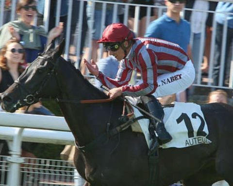 Quinté du mardi 6 octobre 2026 à Auteuil: les pronostics