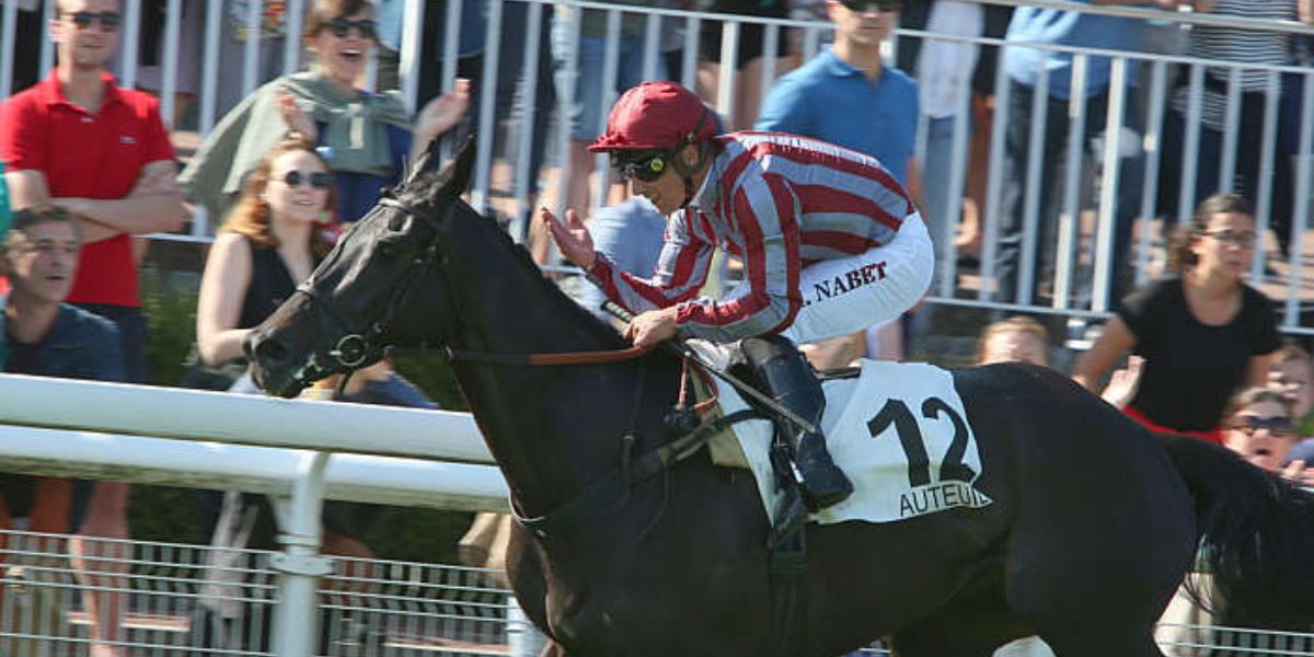 Quinté du mardi 6 octobre 2026 à Auteuil: les pronostics