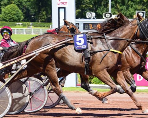 Quinté du mercredi 7 octobre 2026 à Enghien: les pronostics