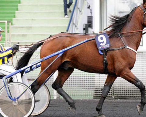 Quinté du vendredi 9 octobre 2026 à Vincennes: les pronostics