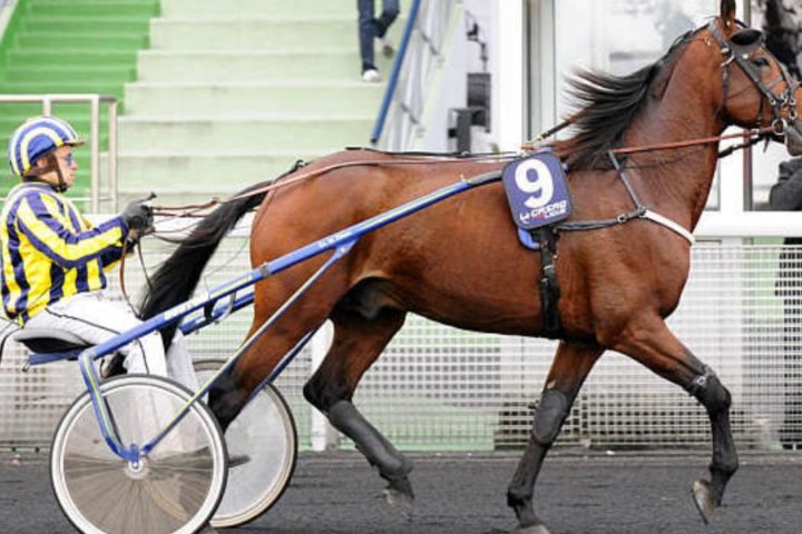 Quinté du vendredi 9 octobre 2026 à Vincennes: les pronostics