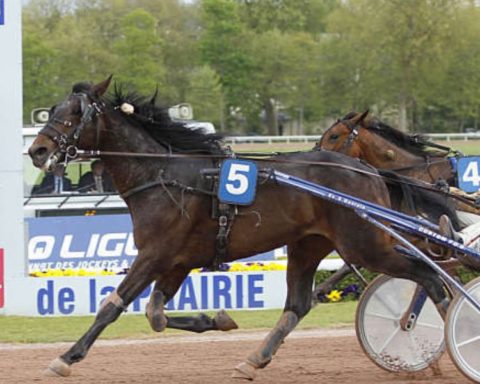 Quinté du samedi 10 octobre 2026 à Caen: les pronostics