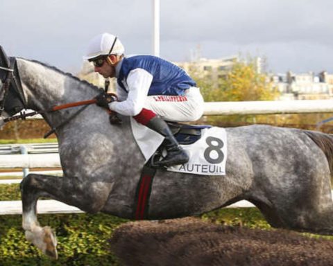 Quinté du dimanche 11 octobre 2026 à Auteuil: les pronostics