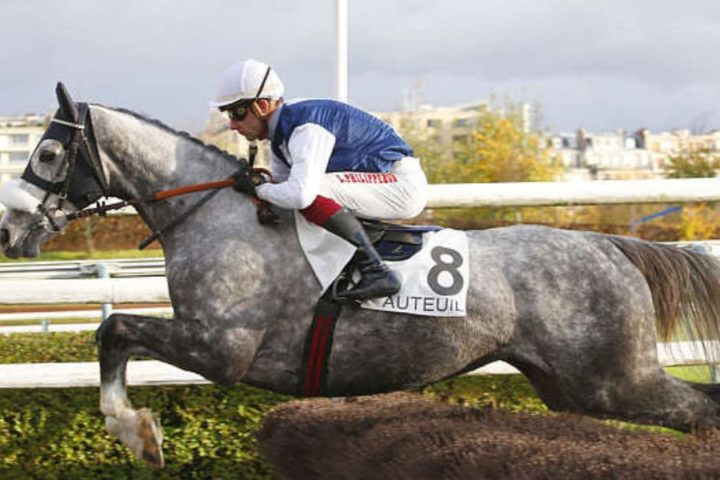 Quinté du dimanche 11 octobre 2026 à Auteuil: les pronostics