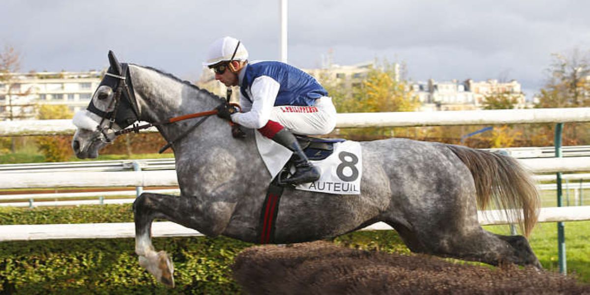Quinté du dimanche 11 octobre 2026 à Auteuil: les pronostics