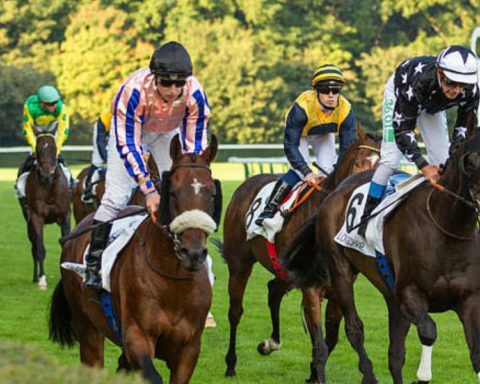 Quinté du mardi 13 octobre 2026 à Longchamp: les pronostics