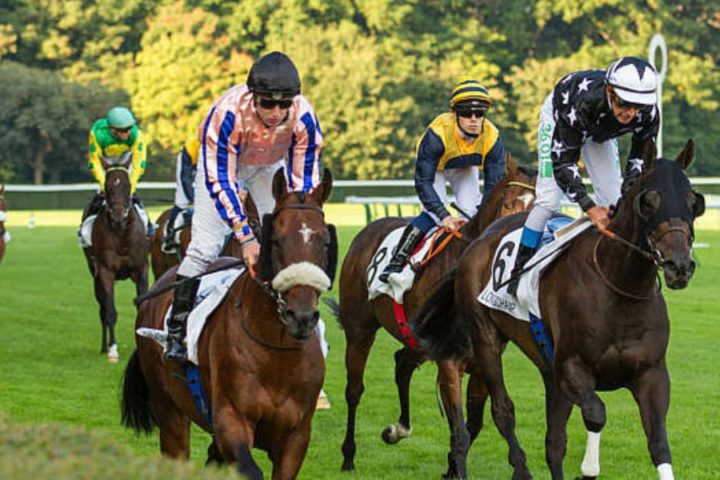 Quinté du mardi 13 octobre 2026 à Longchamp: les pronostics