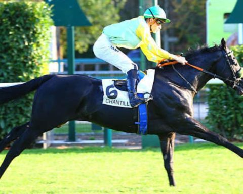 Quinté du jeudi 15 octobre 2026 à Chantilly: les pronostics