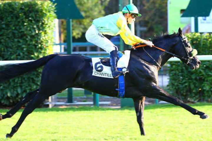 Quinté du jeudi 15 octobre 2026 à Chantilly: les pronostics