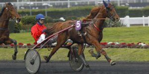 Quinté du vendredi 16 octobre 2026 à Vincennes: les pronostics