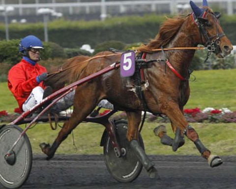 Quinté du vendredi 16 octobre 2026 à Vincennes: les pronostics