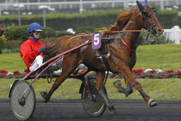 Quinté du vendredi 16 octobre 2026 à Vincennes: les pronostics