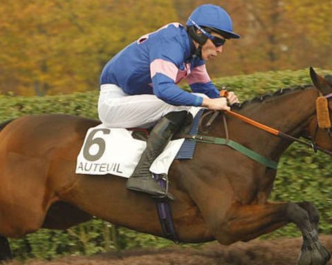Quinté du samedi 17 octobre 2026 à Auteuil: les pronostics
