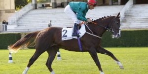 Quinté du dimanche 18 octobre 2026 à Longchamp: les pronostics
