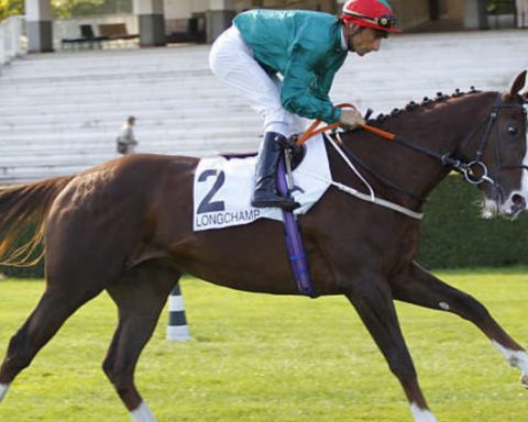 Quinté du dimanche 18 octobre 2026 à Longchamp: les pronostics
