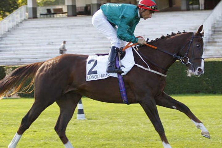 Quinté du dimanche 18 octobre 2026 à Longchamp: les pronostics