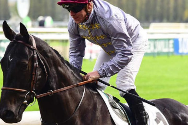 Quinté du lundi 19 octobre 2026 à Deauville: les pronostics