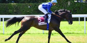 Quinté du mardi 20 octobre 2026 à Clairefontaine: les pronostics