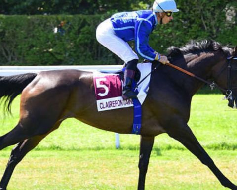 Quinté du mardi 20 octobre 2026 à Clairefontaine: les pronostics