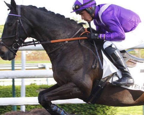 Quinté du jeudi 22 octobre 2026 à Auteuil: les pronostics