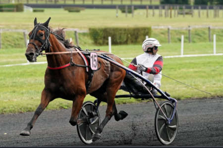 Actualités Hippiques