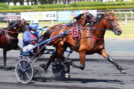 Actualités Hippiques