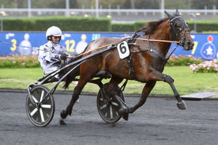 Actualités Hippiques