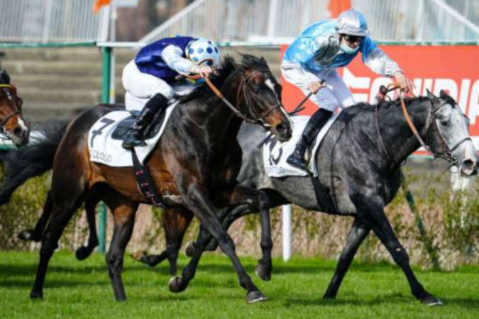 Prix De La Place Des Vosges 2021 Geny