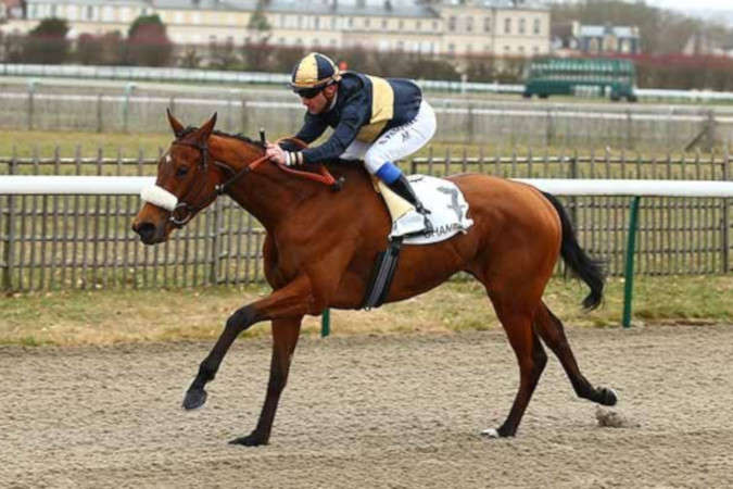 Actualité Hippique