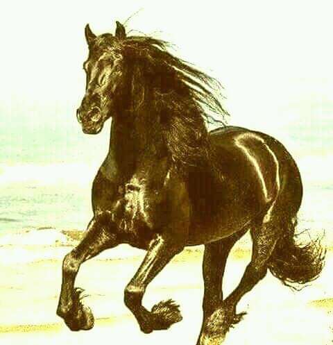 NOAH-68 profile page