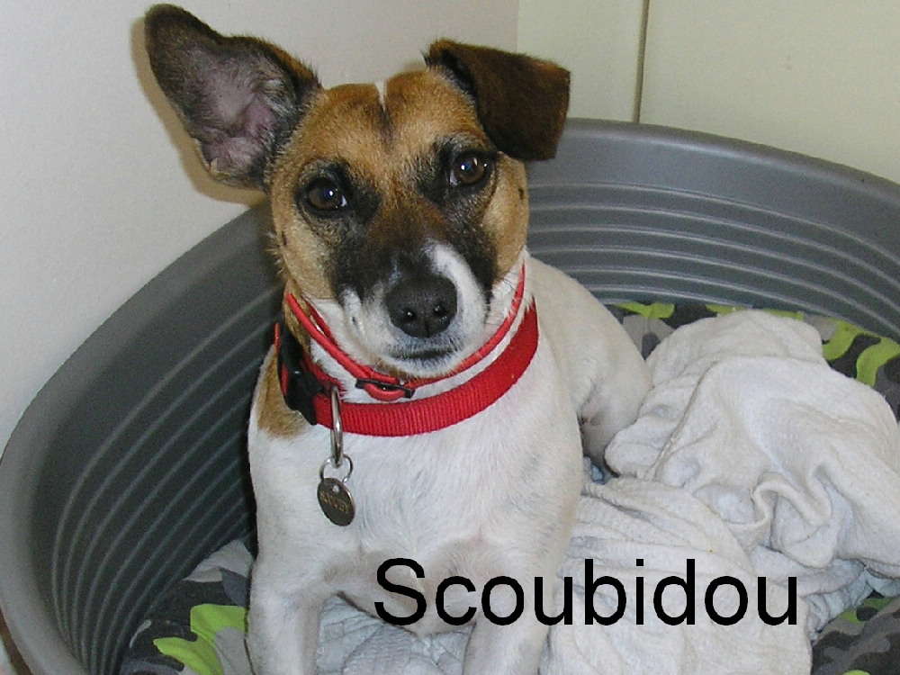 choune81130 profile page